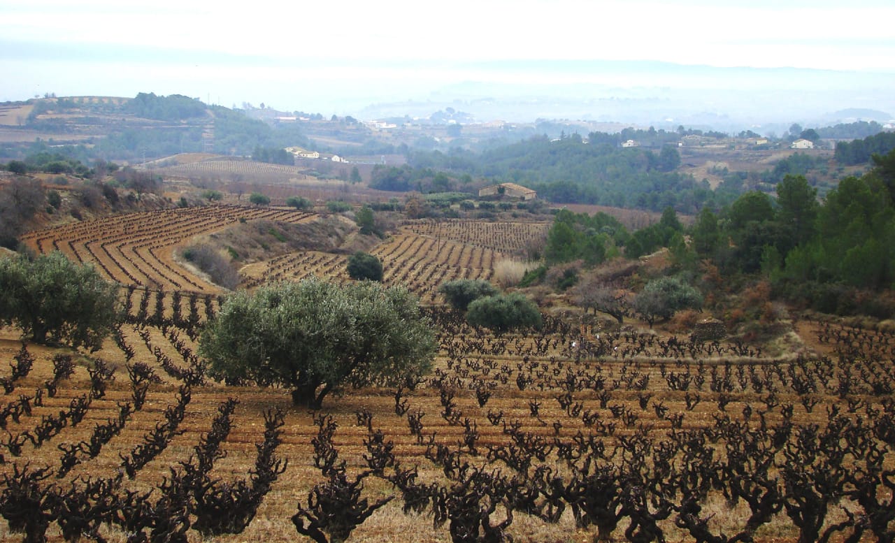 SAFARI TOUR IN 4X4 BY THE PENEDÈS AND VISIT TO WINERY WITH WINE TASTING 4