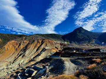 Tokyo to Hakone Customizable English Guided Private Tour
