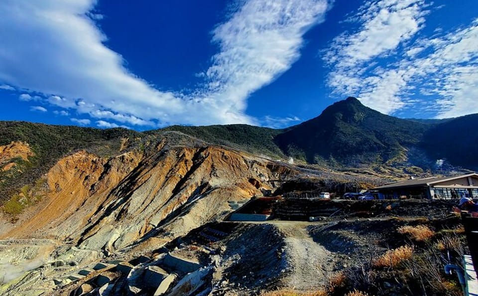Tokyo to Hakone Customizable English Guided Private Tour