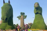 Miracle Garden Global Village Transportation from RAK 7