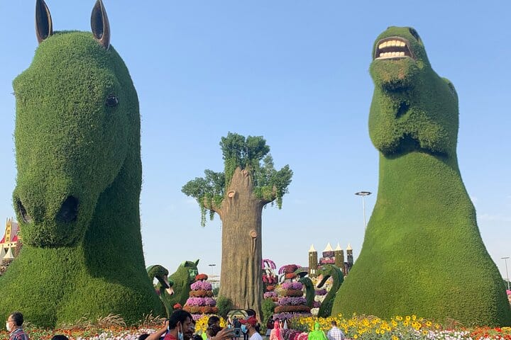 Miracle Garden Global Village Transportation from RAK 7