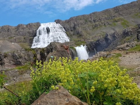 Full day private superjeep tour from Ísafjörður 