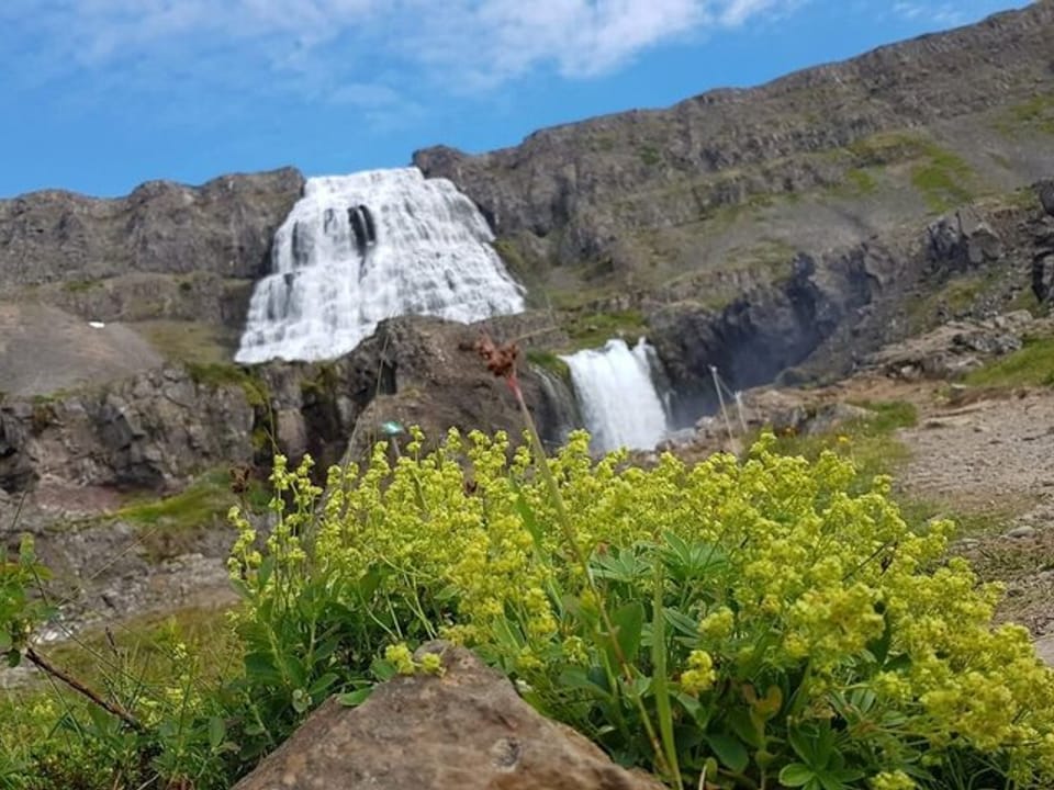Full day private superjeep tour from Ísafjörður — Lucky Troll Tours