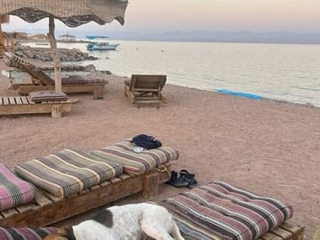 Semi-Private Snorkeling Trip at Sharm El Naga National Park, Hurghada