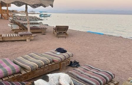 Semi-Private Snorkeling Trip at Sharm El Naga National Park, Hurghada