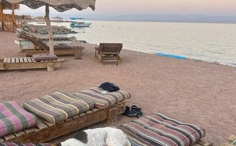 Semi-Private Snorkeling Trip at Sharm El Naga National Park, Hurghada