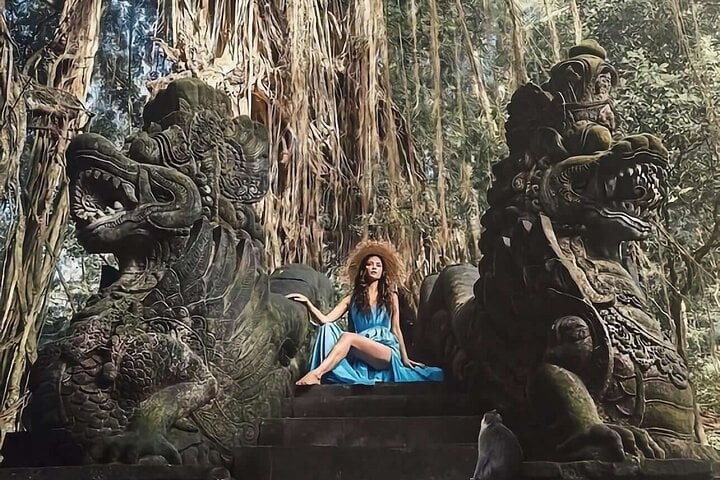 Best of Ubud: Waterfall - Jungle Swing - Rice Terrace 8