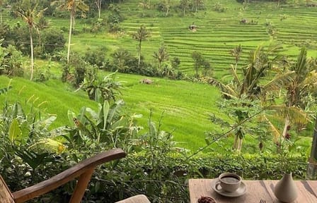 Full-Day Bali Private Tour of Ratu Anom Lunch and Dinner
