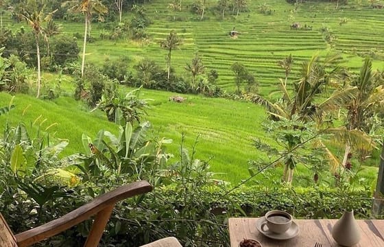Full-Day Bali Private Tour of Ratu Anom Lunch and Dinner