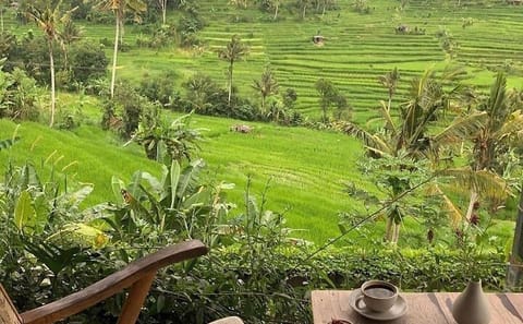 Private Full-Day Cultural Tour in Bedugul and Denpasar