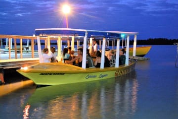Luminous Lagoon Boat Tour from Montego Bay Hotels