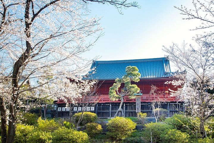 Tokyo National Museum and Ueno Ukiyo-e History Guided Tour