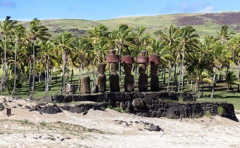 Wine and Culture Tour in Casablanca Valley and Easter Island