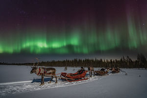 In Search of the Northern Lights – Reindeer Sleigh Ride Under the Arctic Sky