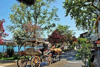 Istanbul All-Inclusive Princes’ Islands Tour+Lunch & Hotel Pickup