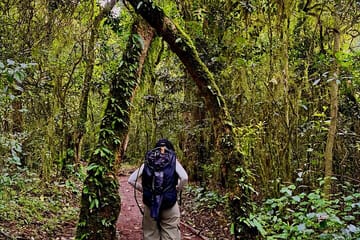6-Day Kilimanjaro Trek via Marangu Route from Moshi