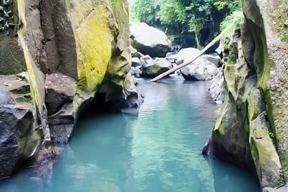 Private Guided Ubud Tour