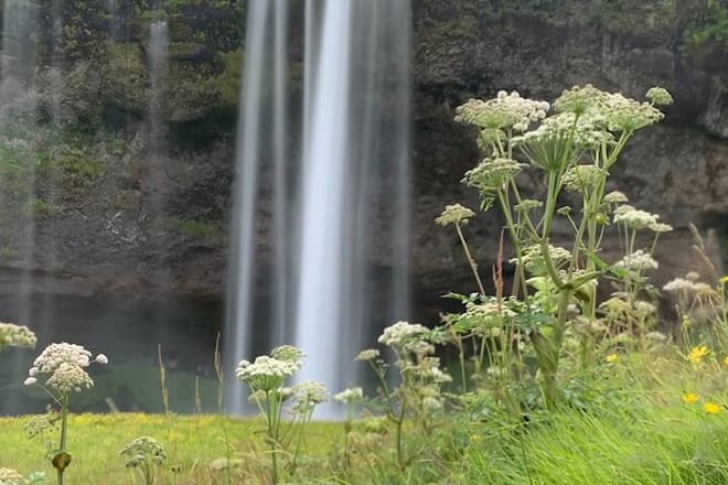 Seljalandsfoss waterfall