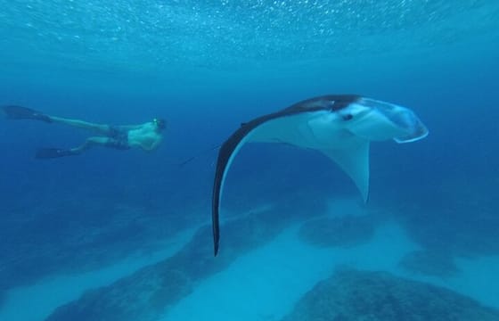 Nusa Penida Snorkling Package