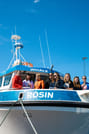 Best Value Whale Watching Tour from Reykjavik	 4