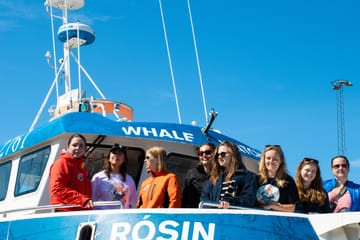 Whale Watching Tour in Reykjavík with Free Second Ticket