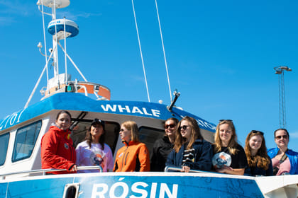 Best Value Whale Watching tour from Reykjavik