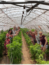 The One&Only Hot Farm Private Tasting Options 5