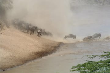 Private 3-Day Safari Experience in Maasai Mara National Reserve