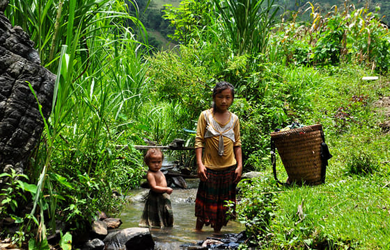 Ba Be National Park Jungle Trails Trekking 2-day