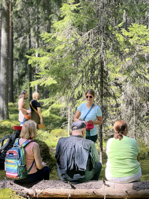 Magical Taiga Forest Hike 9