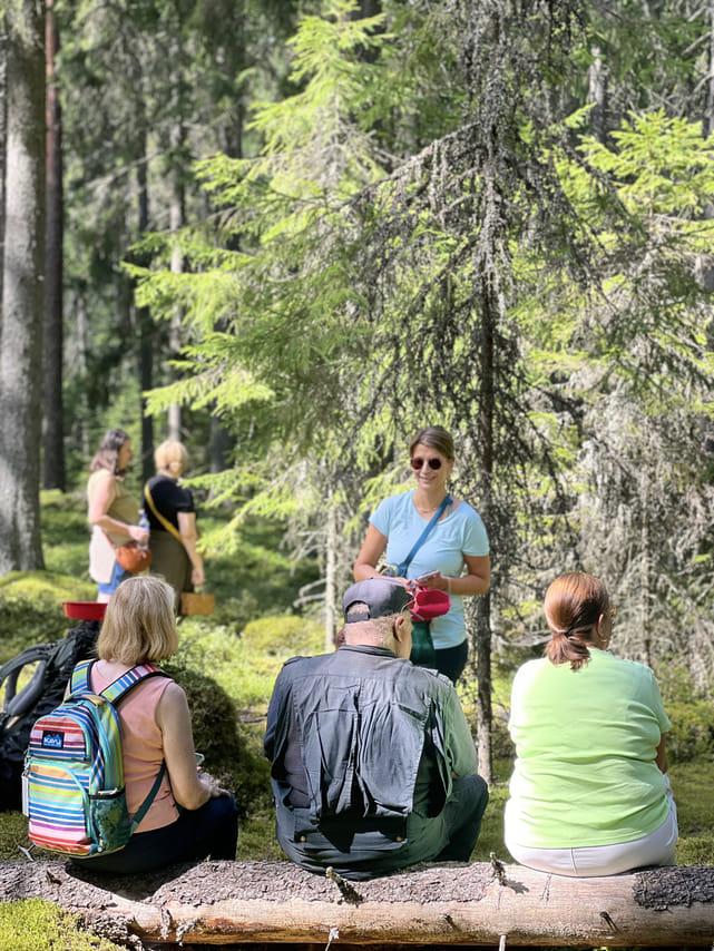 Magical Taiga Forest Hike 9