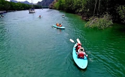 Guided Langkawi Sunset Kayaking Adventures With Hotel Transfers
