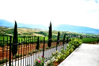 Rupel Winery - Wine Tastings, Tours & Activities 6
