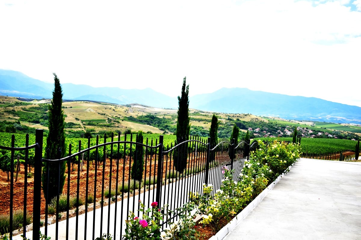 Rupel Winery - Wine Tastings, Tours & Activities 6
