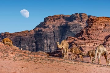 2-Night Jordan Private Tour Petra, Wadi Rum, Dana Biosphere Reserve, & Dead Sea