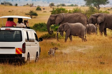 3-Day Tsavo East Private Safari from Diani Beach