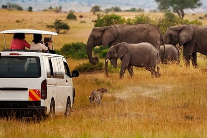 3-Day Tsavo East Private Safari from Diani Beach