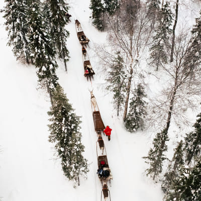 Ferme de Rennes Taava – Rennes et Traditions de Laponie Toute l’Année