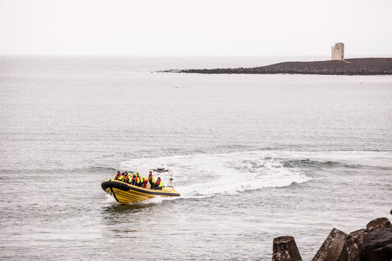 Whale  Watching from Downtown Reykjavik by RIB Speedboat  10
