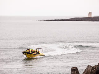 Puffin Tour by RIB Speedboat from Downtown Reykjavik, photo 10