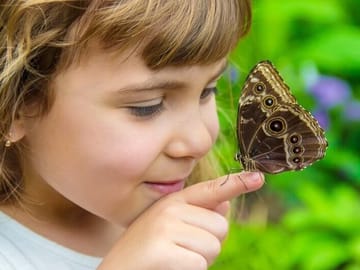 Butterfly World Antalya Tropical Sanctuary Optional Transfer