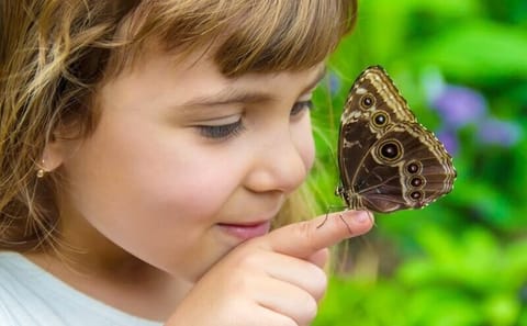 Butterfly World Antalya Tropical Sanctuary Optional Transfer