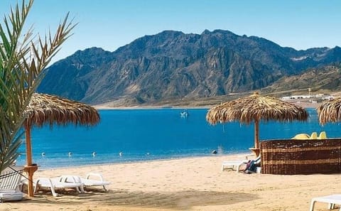 Day Trip to Ain El Sokhna on the Red Sea from Cairo