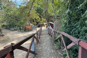 Private All Inclusive Hot Springs Relaxing Tour