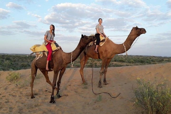 Jodhpur Day Tour Enjoy Sunset with Camel Safari