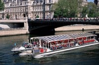 CDG Transfer & Disneyland Trip with Seine Cruise & Eiffel Summit 8