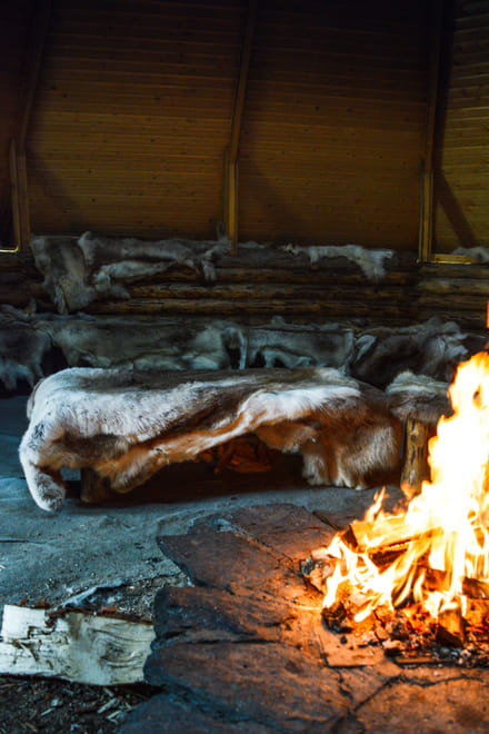 Arctic Reindeer Hike Experience  4