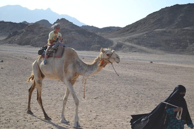 Safari Jeep Full Day, Dinner, Show, &amp; Camel Ride - Marsa Alam