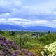 Queen Elizabeth Park