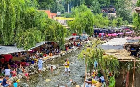 Private Day Trip to Atlas Mountains and Ourika Valley from Marrakech